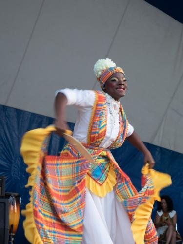Afro Caribbean Festival 2014-08-23 19-55-24